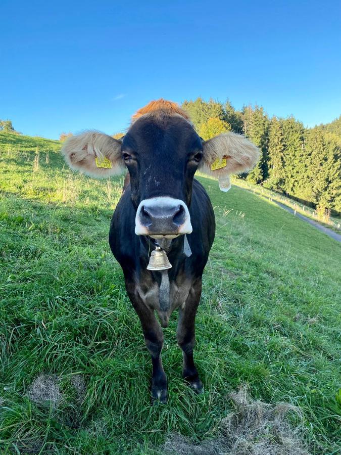 Ferienwohnung Bergblick Wangen Im Allgaeu Mit Garten, 2022 Komplett Renoviert Exterior photo